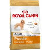 Royal Canin Poodle Adult, сухой корм для собак породы Пудель