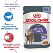 Royal Canin Appetite Control Care, влажный корм сбалансированный для взрослых кошек — рекомендуется для контроля выпрашивания корма
