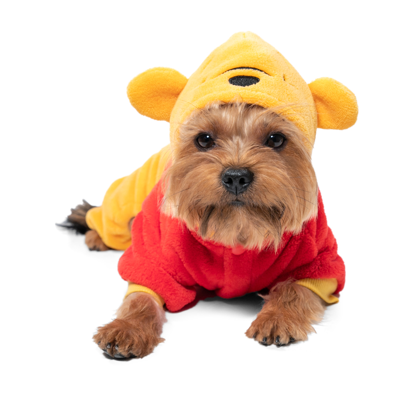 Triol-Disney Костюм демисезонный Disney Fun Winnie-the-Pooh L, размер 35см