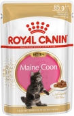 Royal Canin Maine coon kitten, Влажный корм для котят породы мейн-кун в возрасте до 15 месяцев, соус, 85 г